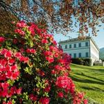 I Giardini di Villa Melzi