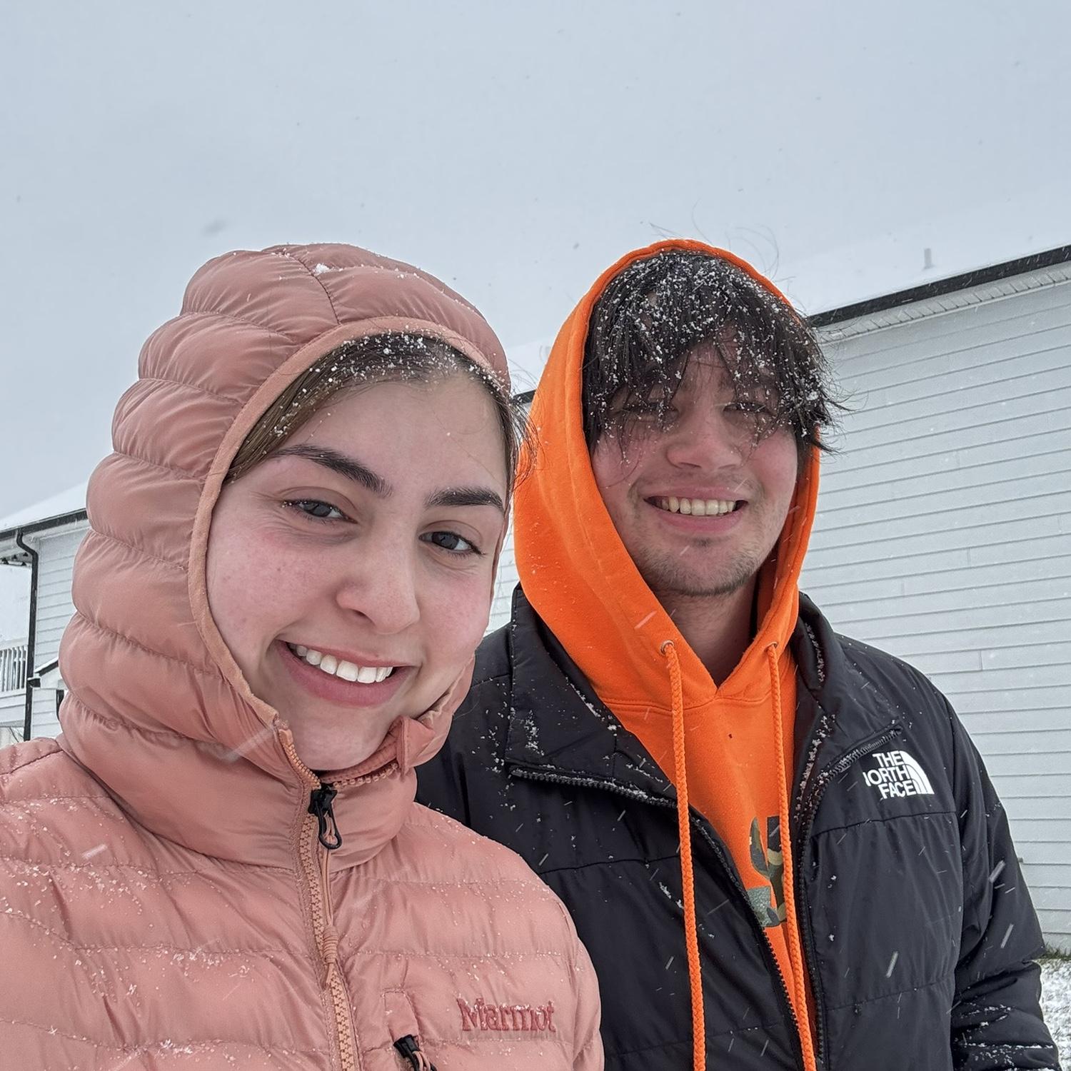 Nashville snow day pt.2