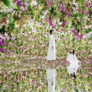 teamLab Planets