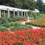 Maymont