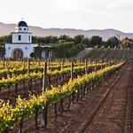 Escondido/Temecula SoCal Wine Country