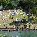 Barton Springs Municipal Pool