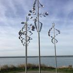 Times Beach Nature Preserve