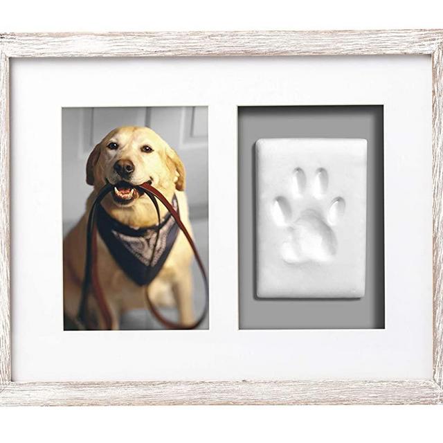 Pearhead Pet Pawprints Desk Picture Frame and Imprint Kit