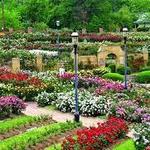 Tyler Rose Garden