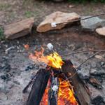 Bonfire
