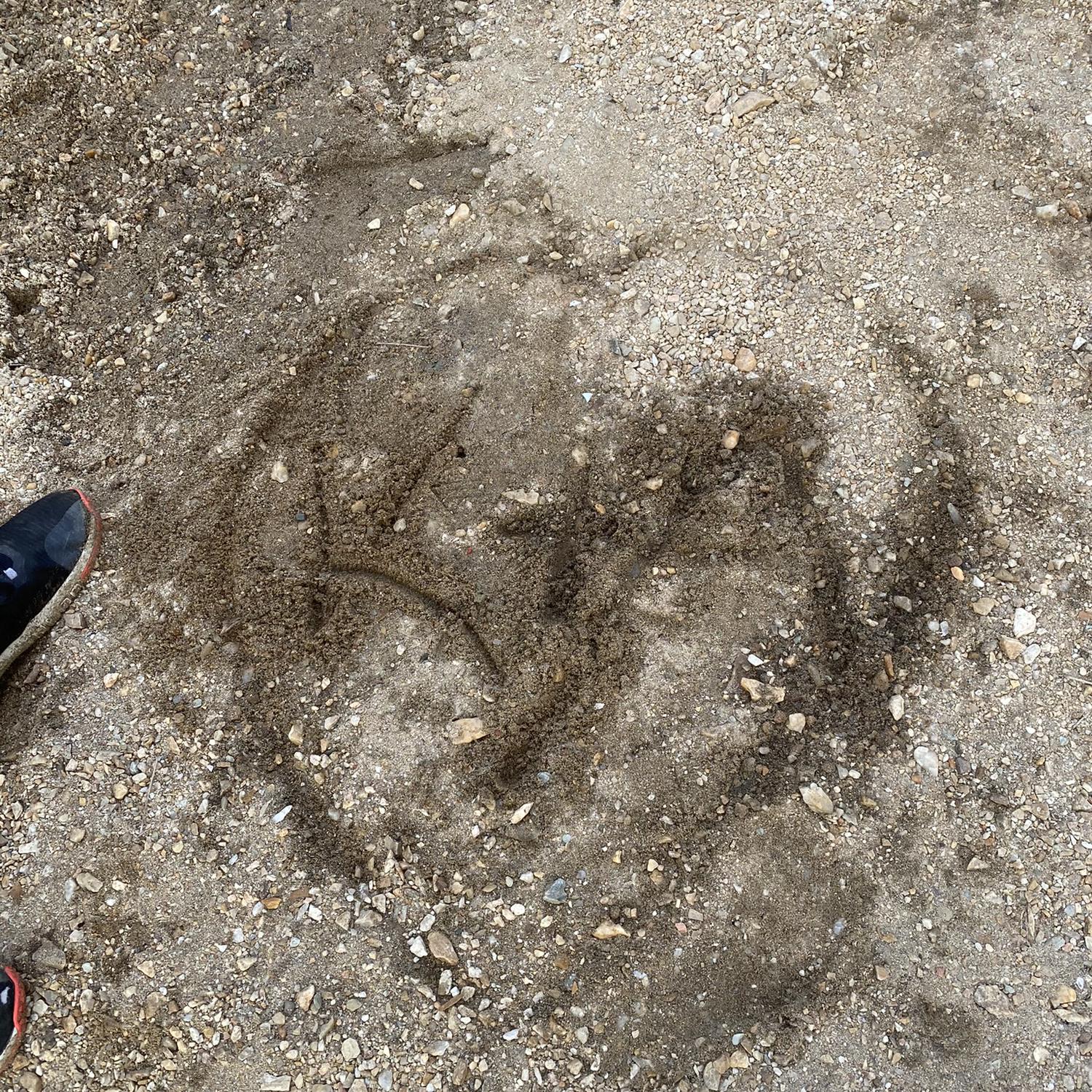 You can’t see it very well, but on one of our first hikes, Andrew drew in the dirt with a stick, K+A and added a heart around it! 🥰