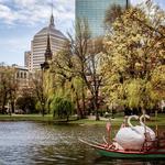 Boston Public Garden