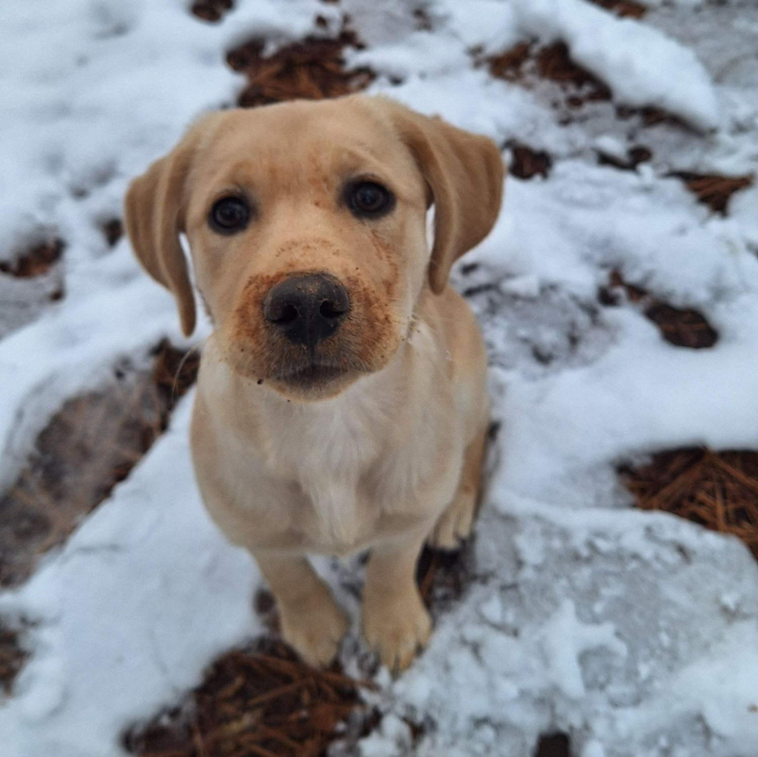 Small and muddy
