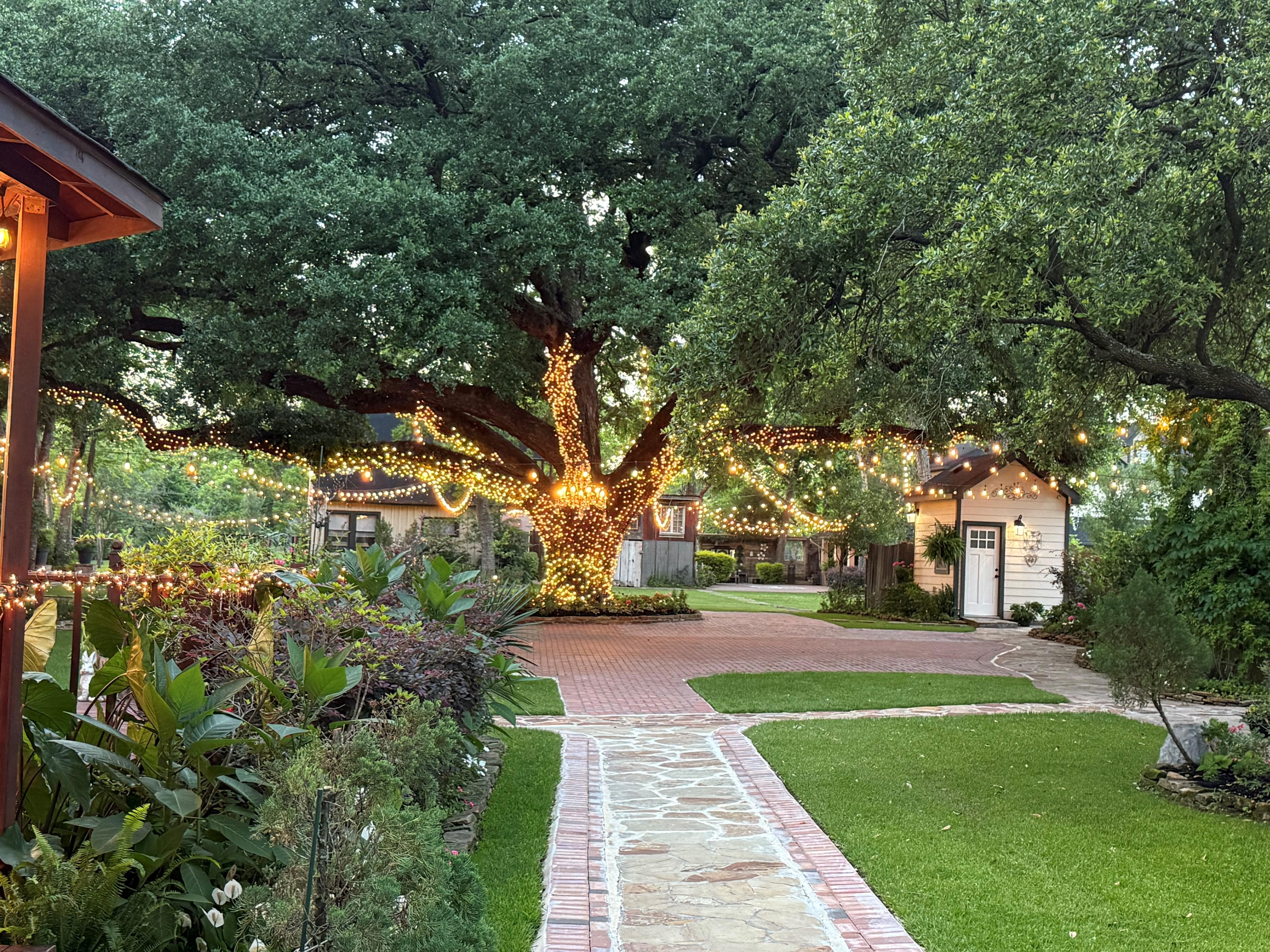 The Wedding Website of Raisa Coronel and Daryoush Deljoui