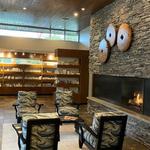 Elan Brio Spa