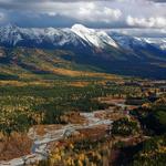 Flathead National Forest