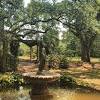 Airlie Gardens