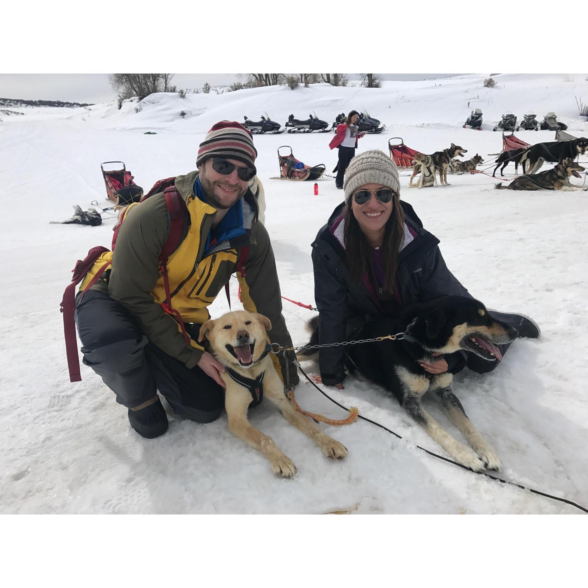 Dog sledding in Steamboat, CO