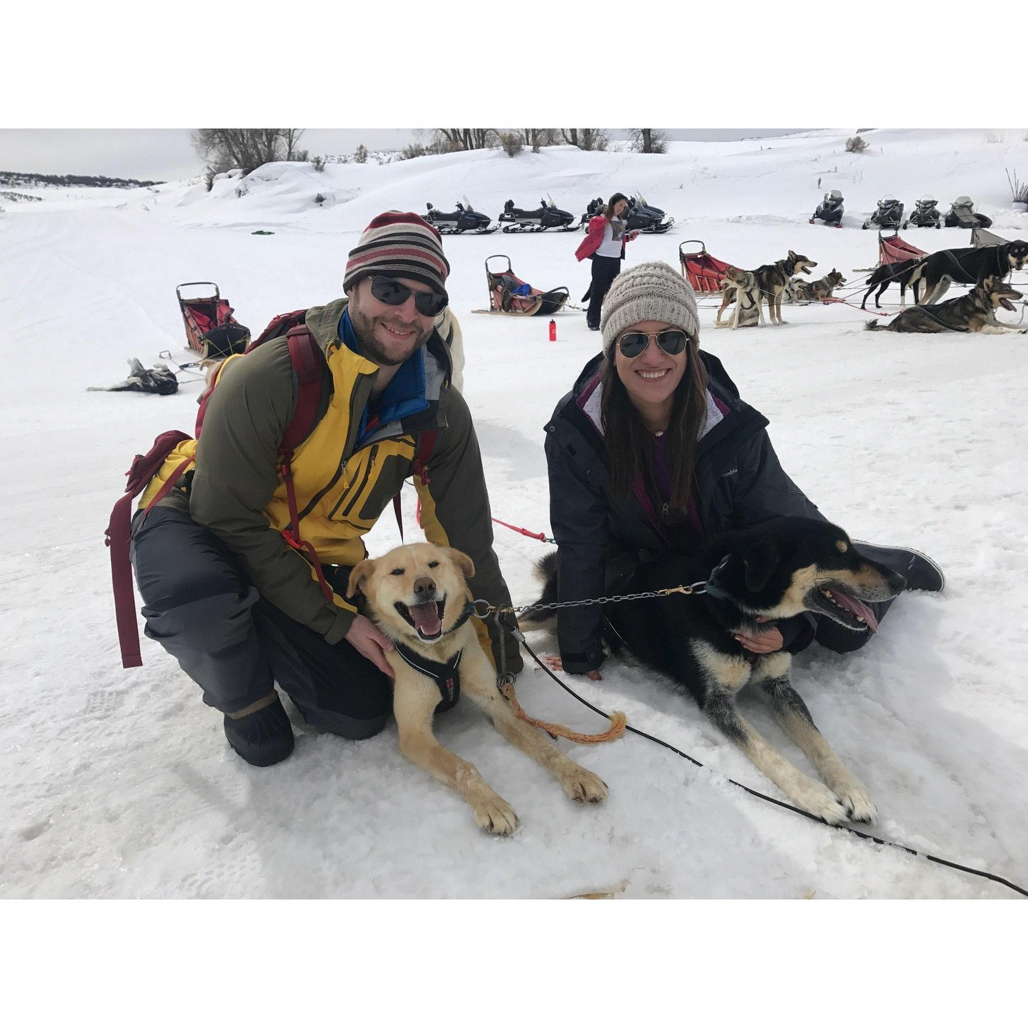 Dog sledding in Steamboat, CO