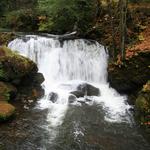 Whatcom Falls Park