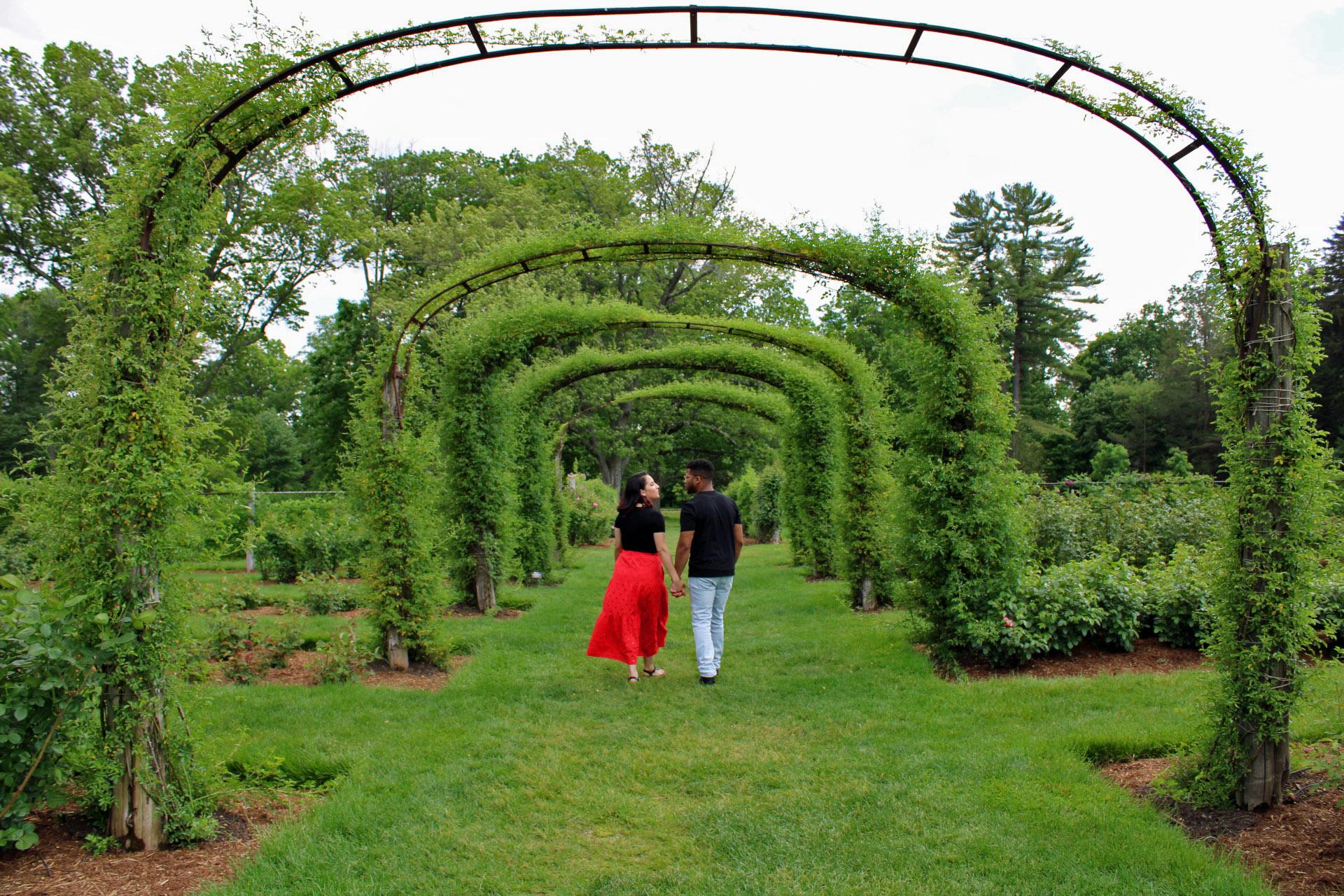 The Wedding Website of Elaine Ortiz and Lance McDougald