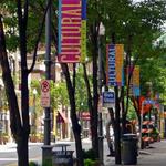 Cultural District