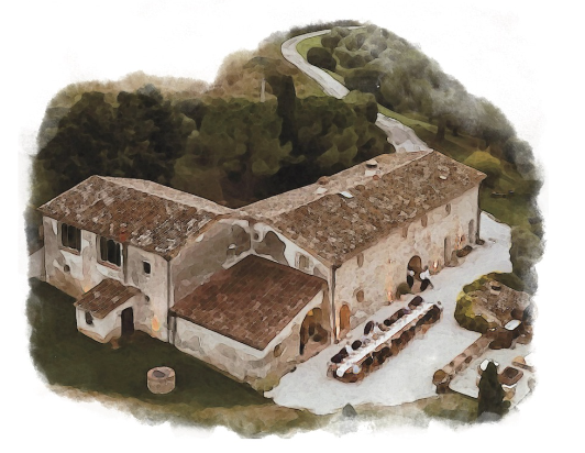 The Wedding Website of Shannon Moran and Daniel Guerriero