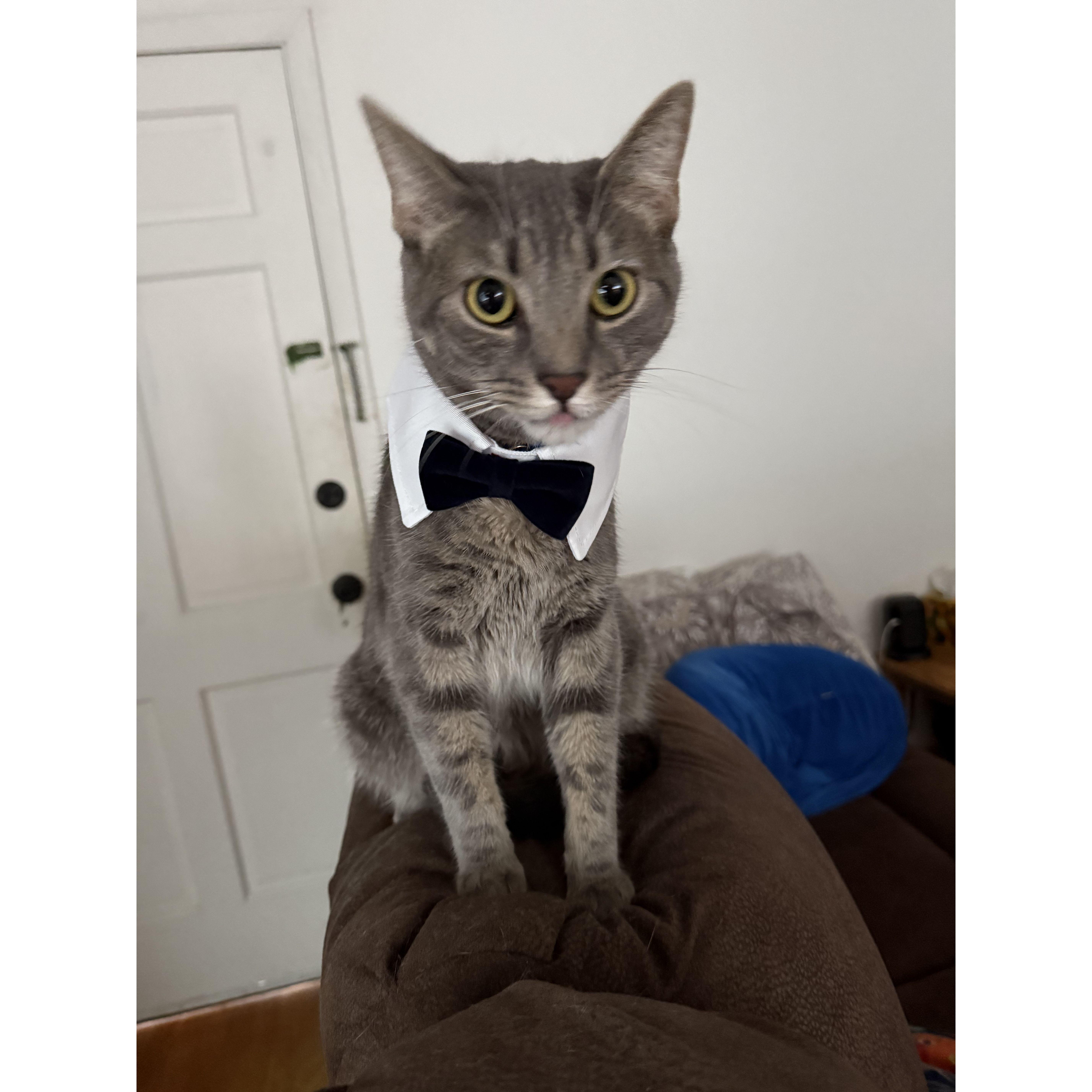 Leo is dressed up and ready for the wedding