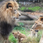 Sacramento Zoo