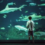 North Carolina Aquarium on Roanoke Island
