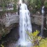 Falls Creek Falls State Park