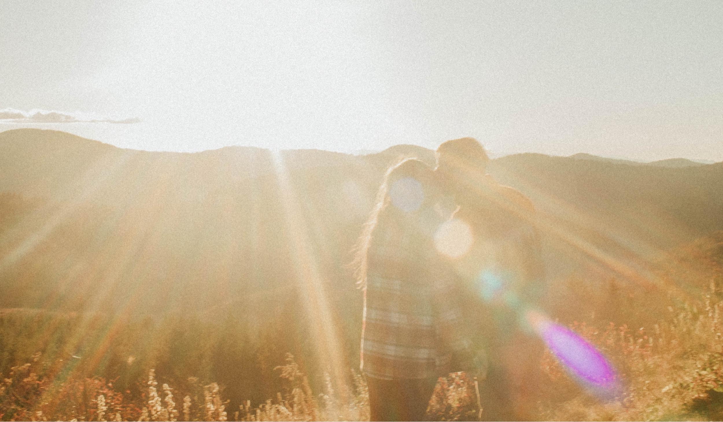 91f71cf4-ad02-4fc0-9946-0b9f4dab922b