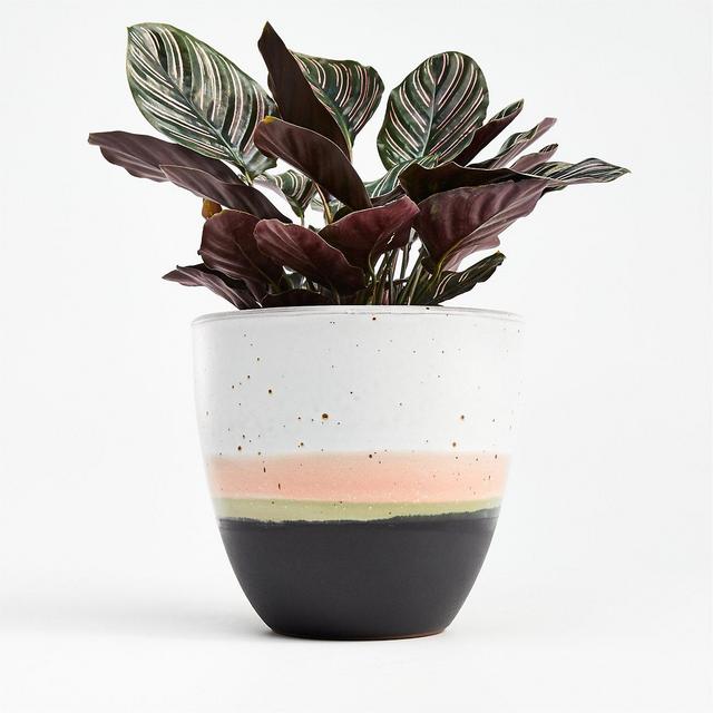 Aveiro Medium Blush Planter