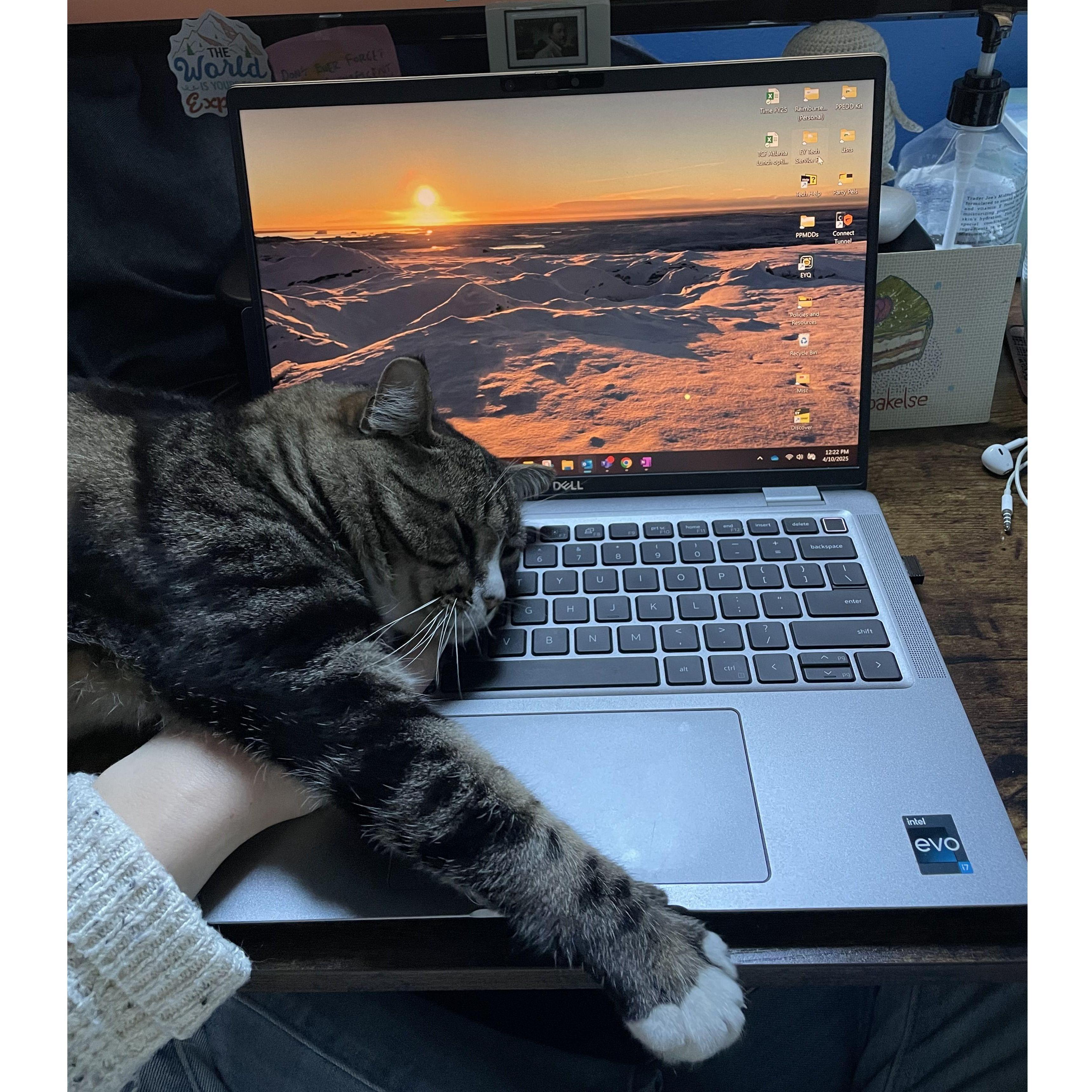 Katie makes a great coworker.