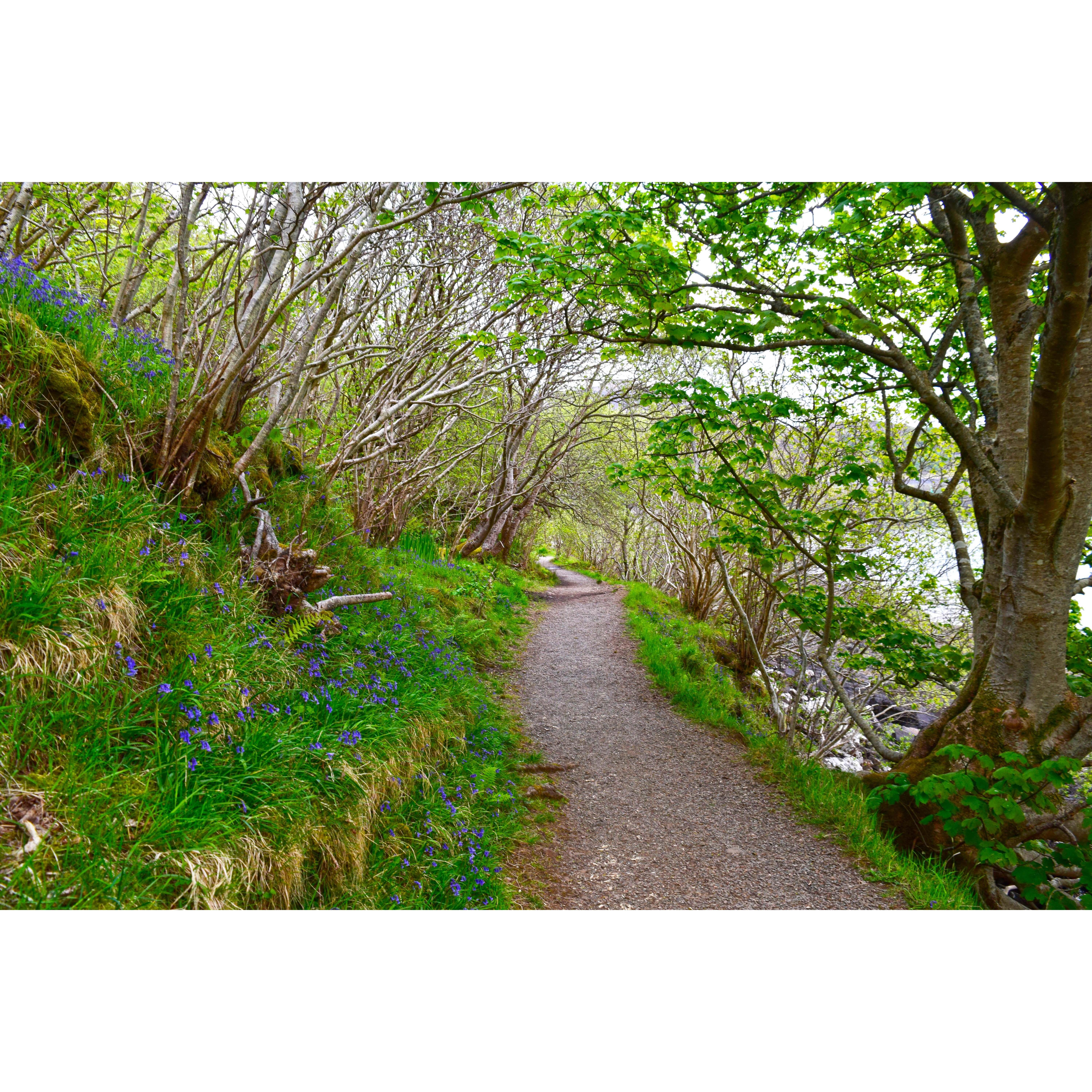 Scorrybreac Walkway. A mountain on one side and the sea on the other. Derek wants some scotch right about now. Heather is enjoying the scenery.