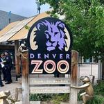 Denver Zoo