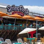 Señor Frog's Playa del Carmen | Quinta