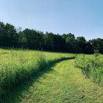 Brown Family Environmental Center