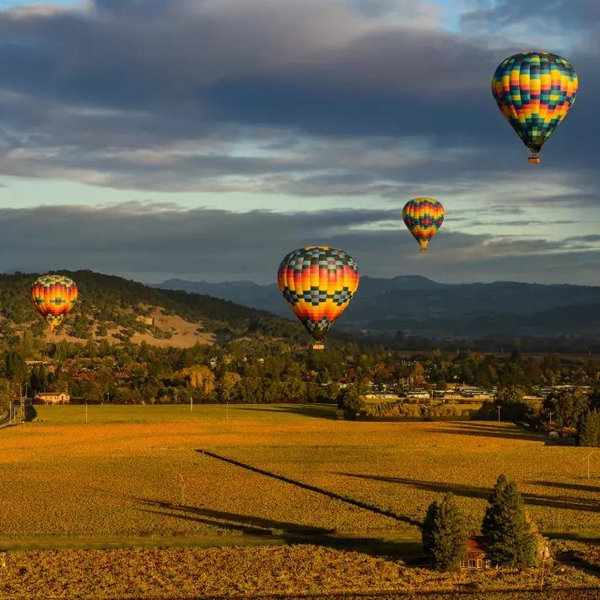 Wine Tour in Napa Valley