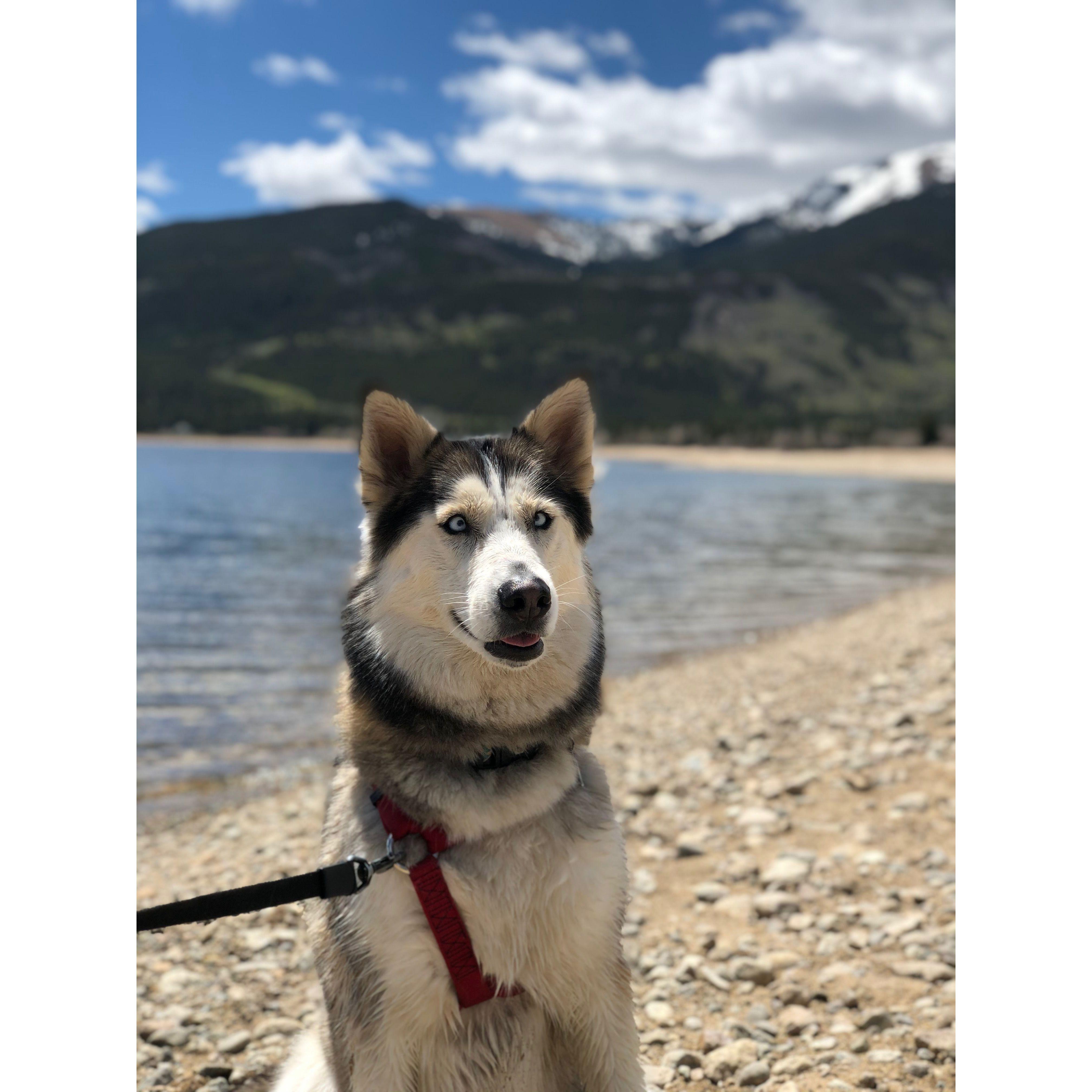 Our baby, Alaia