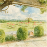 Greenhill Vineyards