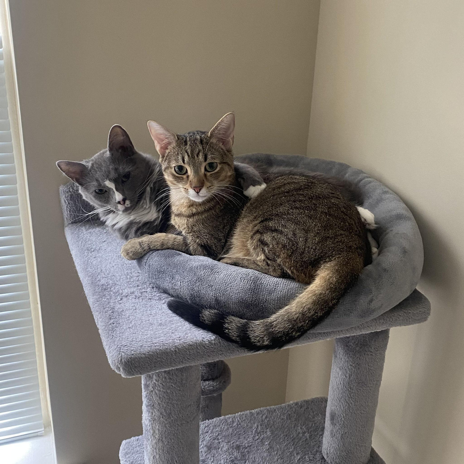 Soon after Trey and Tobias came home - February 2023