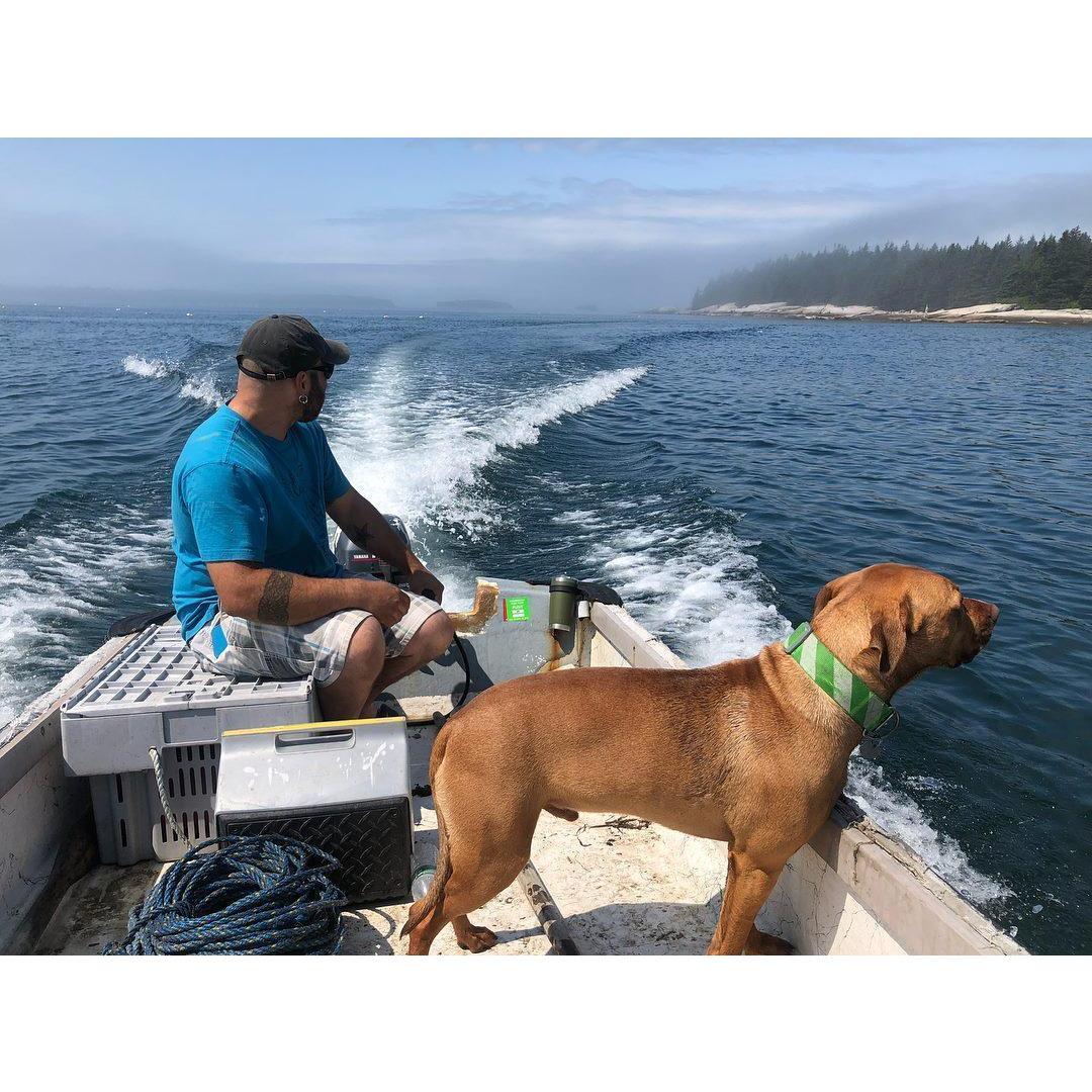 One of our favorite past times....island hopping with our favorite doggo!