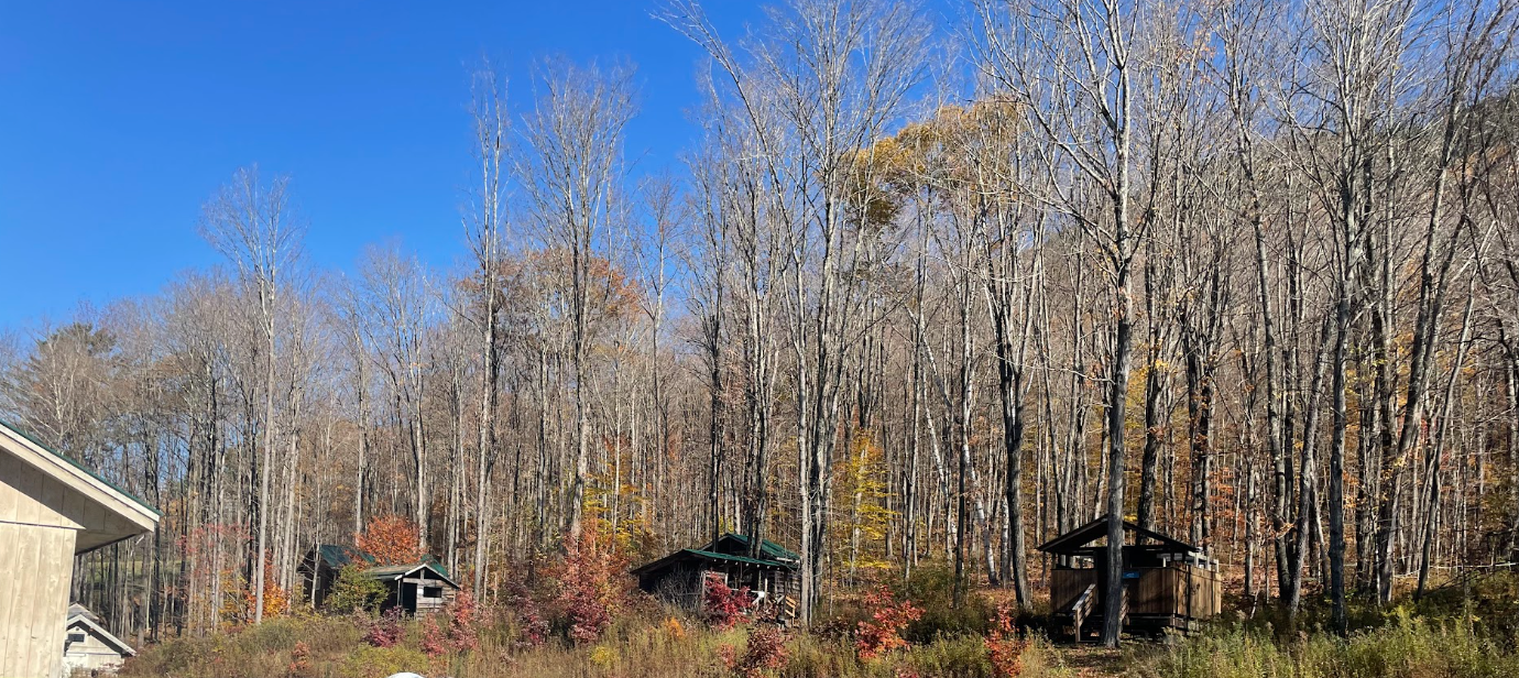 The Wedding Website of Hailey Neal and Maxwell Elles