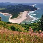 Cascade Head Trail - South Trailhead