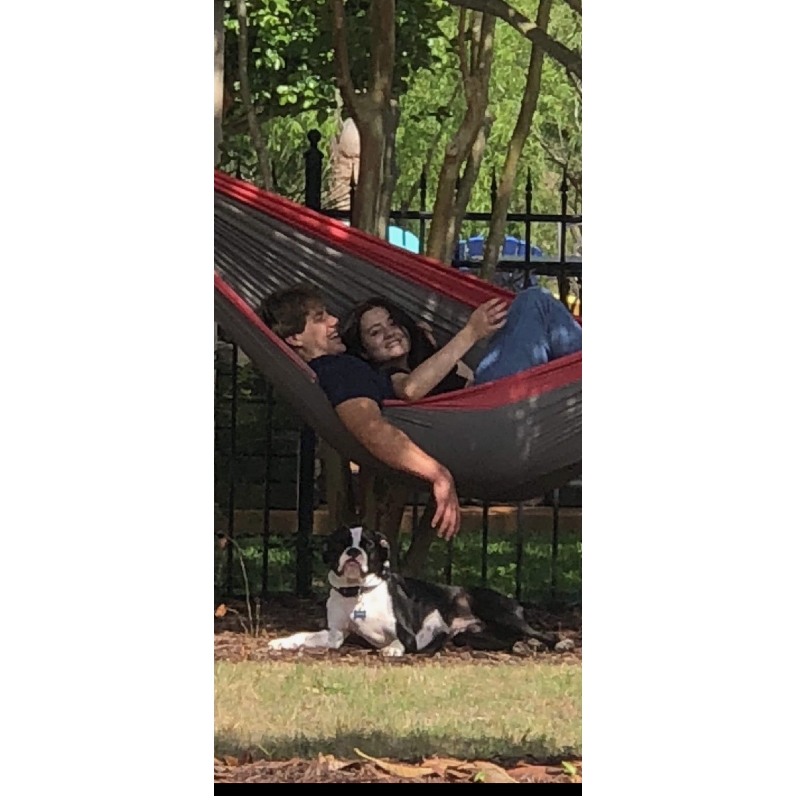 Backyard, 2019