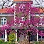 The Peel Mansion Museum & Heritage Gardens