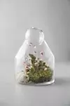 Tall Ball-Top Terrarium