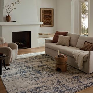 Nellie Dynamic Area Rug