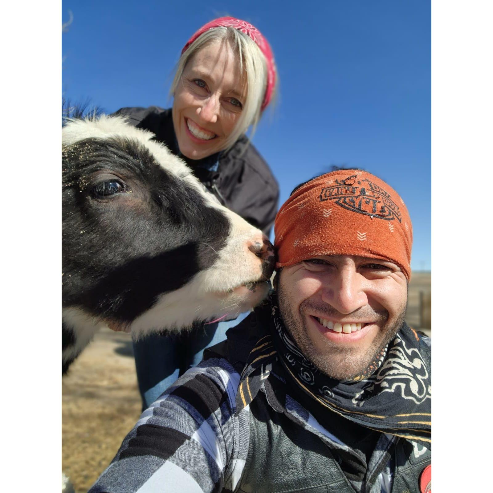 Our love for animals :)