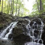 Harriman State Park