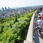 Parc du Mont-Royal