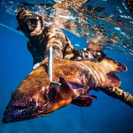 Spearfishing Tour