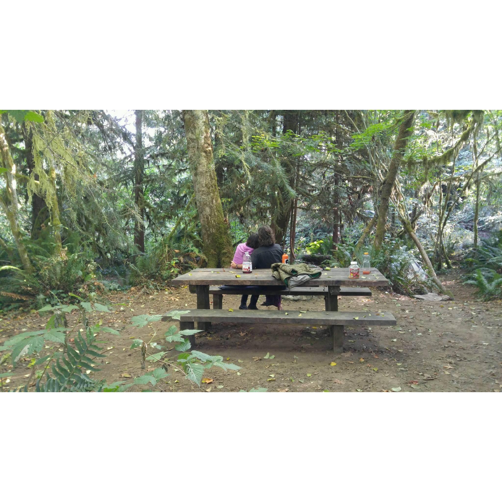 Loving in the rainforest in Washington